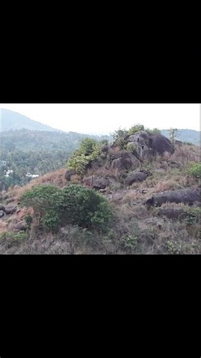 Ananganmala Ecotourism, Palakkad 🌿 A Scenic Hill Destination in Kerala