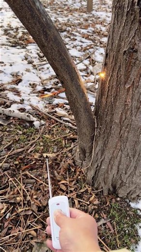 The 500-watt laser igniter burns through the branches #automobile #conceptlaser #lasersource