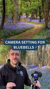 Bluebell Photography Settings (Forest Setup)