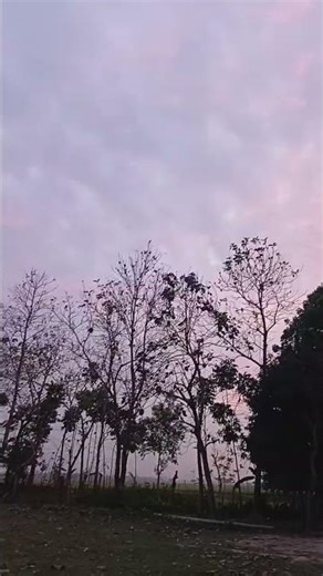 #আনিছুর_রহমান_আশরাফীর_নতুন_ওয়াজ #unfrez #unfrezzmyaccount #foryou #shortvideo #love