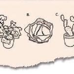 The Artificiality of Natural User Interfaces – Communications of the ACM