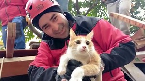 Animals rescued in Syria and Türkiye after earthquake