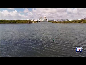 Plume of salty water from Turkey Point could impact aquifer