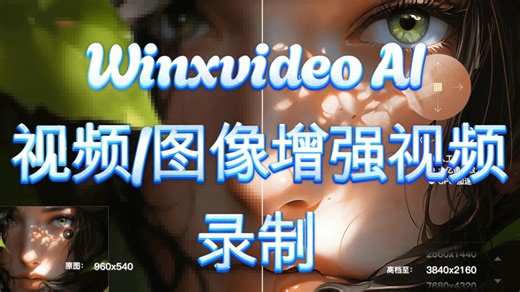 Winxvideo AI 图像视频增强视频录制精简便携绿色版