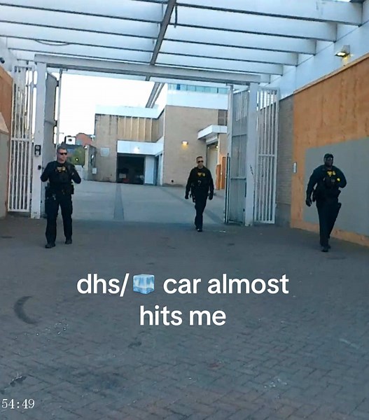 portland dog park 9/23/25 #fyp #musicfestival #dogsoftiktok #portland #summermashup