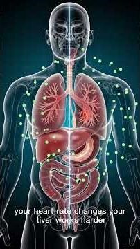 What Happens Inside Your Body When You Take Drugs (Brain, Heart & Organs Explained) #harvardstudy
