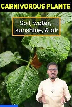 What are carnivorous plants? 🌱| bladderwort | carnivorous plants eating | carnivorous plants names