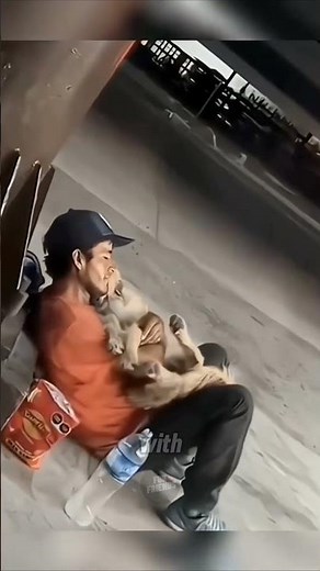 Why do dogs lick people? 🐶