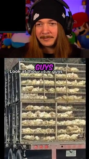 #memes #funny #reels | Jimmy here