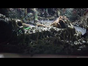 Aliens vs Marine HIVE DIORAMA