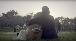 Lookout: an app to help blind and visually impaired people learn about their surroundings