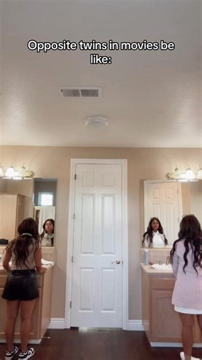 Opposite Twins Movie: Switching Places on Netflix