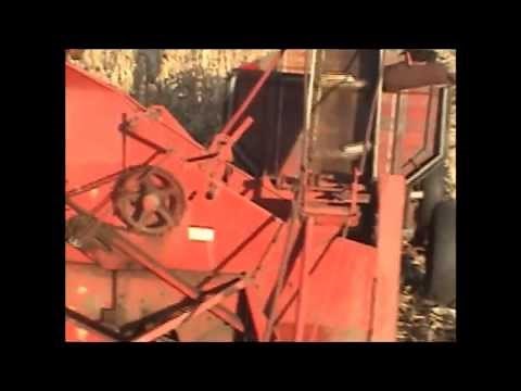 Farmall Super H tractor and IHC 1pr corn picker picking