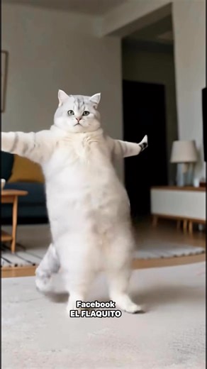 117K views · 3.4K reactions | El quiere bailar  | El FLAQUITO | Facebook