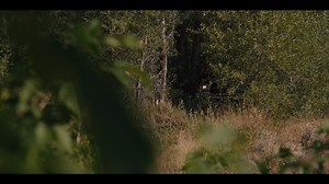 Anyone else hold their breath when Ryan got shot? | Yellowstone
