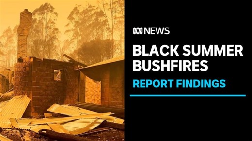 Report into the Black Summer Bushfires released