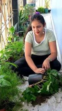 Attitude adjustment surgery successful❌🌿Rootbound queen's emergency treatment🌱✨#plants #gardening