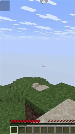 I created a new hardcore world in the java edition in Minecraft