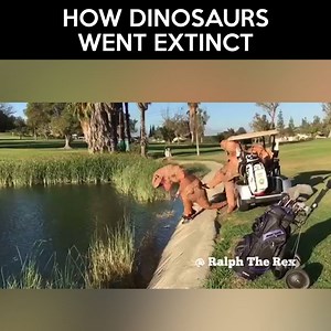 1.4M views | How dinosaurs went extinct Credit: Ralph The Rex | LOLKidz | Facebook