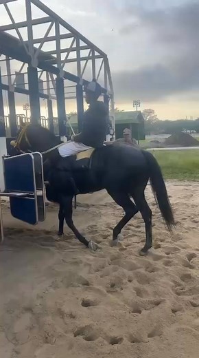 30K views · 608 reactions | J F reis o popular Reisinho,cara diferente no Box esse cavalo não entrava de frente no Box pela frente ,só precisou de 30 minutos para o cavalo entrar no Box ,(Obs )depois do trabalho feito em meia hora o cavalo entrou sozinho,parabéns Reisinho você é diferente !! | Leo Reis | Facebook