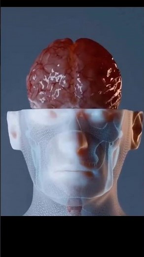 Parietal lobe function lCerebrum l Medical Educational Shorts ll