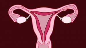 Three Facts About Periods