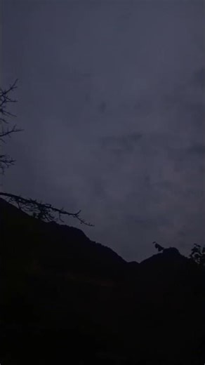 #birds #nature #mathanalysis #drawing #art