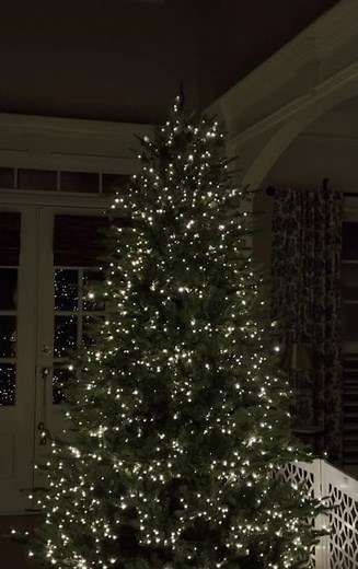 Holiday bright lights 7.5 ft Emerald Pine Sparkle Color Changing Tree #acehardware #viraltree