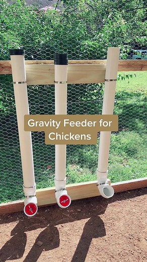 DIY PVC Chicken Feeder: Gravity Feeders for Your Flock