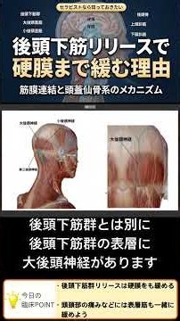 【筋膜リリース】後頭下筋群を緩めると硬膜まで緩む理由とは？
