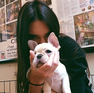 Thousands of people are replacing their dog's tag with a TrackR to find them quickly if they ever get lost or stolen and avoid expensive pound fees! The TrackR is the perfect way to keep an eye on your beloved pet at all times and is even waterproof! Protect your pet today. | Future Technology