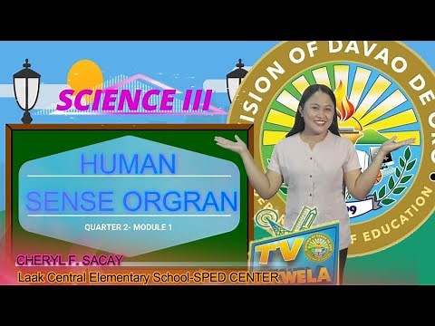 SCIENCE 3 (Quarter 2): Human Sense Organ