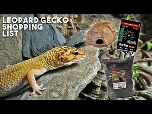 What To Buy Your Pet Leopard Gecko // Setup, Substrate, Heating, Lighting, etc