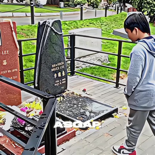 I miss you 🕊️#brucelee #bruceleeedit #brucelee_team #brucelee🐉 #fyp | Bruce Lee