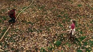 9292-The Spiderwick Chronicles (2008) 720p D S spa eng por fre v