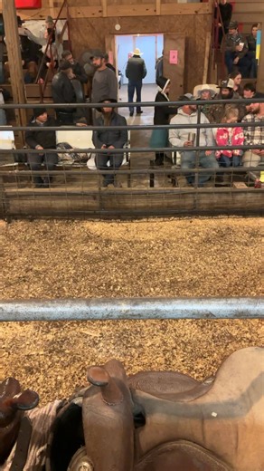 West Tennessee Auction Barn on Reels