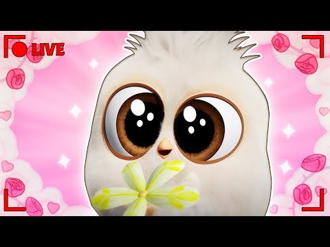 🔴 LIVE Happy Valentine’s Day from Angry Birds! 😍💖