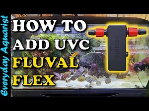 Fluval Flex 123 - Fitting Fluval UVC Inline Aquarium Clarifier