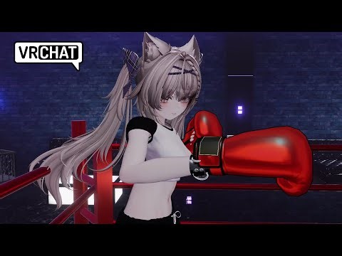 Cat fighting for a great win VRchat POV BOXING