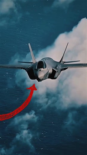 difference between double and single seater fighter jet #shorts