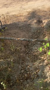 #humor | Los González