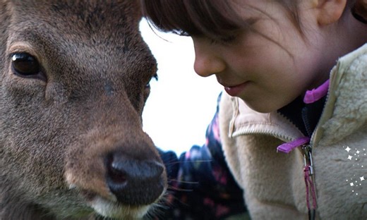 Supervalu introduces us to Deermuid in their new Christmas ad