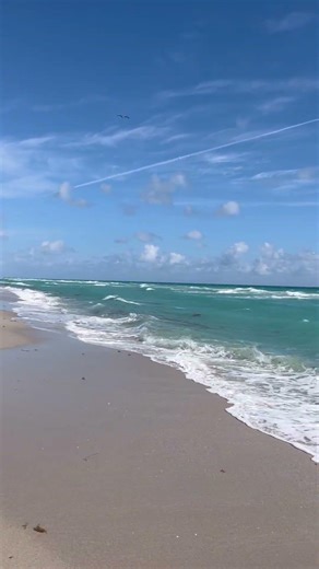 Ocean Waves in Florida | Relaxing Nature Sounds — Music for the Soul