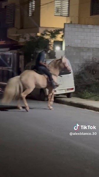 Videos de Alex blanco (@alexblanco.30) con “sonido original - Alex blanco”