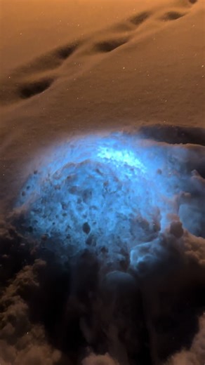 Its so pretty #snow #fyp | light under snow