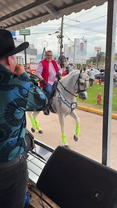 Viva Olancho, Desfile Hípico Juticalpa #inquietosdeolancho | Hernandez Josue