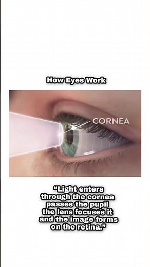 How Eyes work #eyecare #eyehealth #eyes #anatomy #physiology Physiology of eye #shortvideo #humaneye