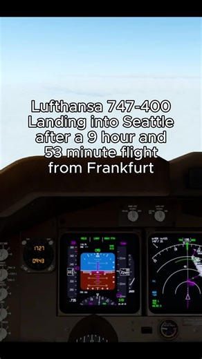 Mastering Flight Simulation Skills