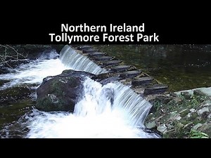 Northern Ireland - Tollymore Forest Park