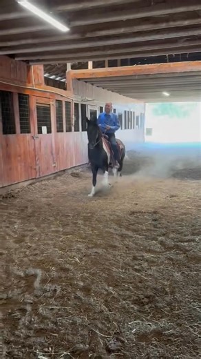 Michael Fisher on Reels